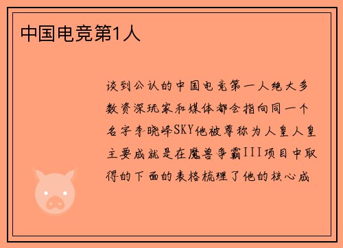 中国电竞第1人
